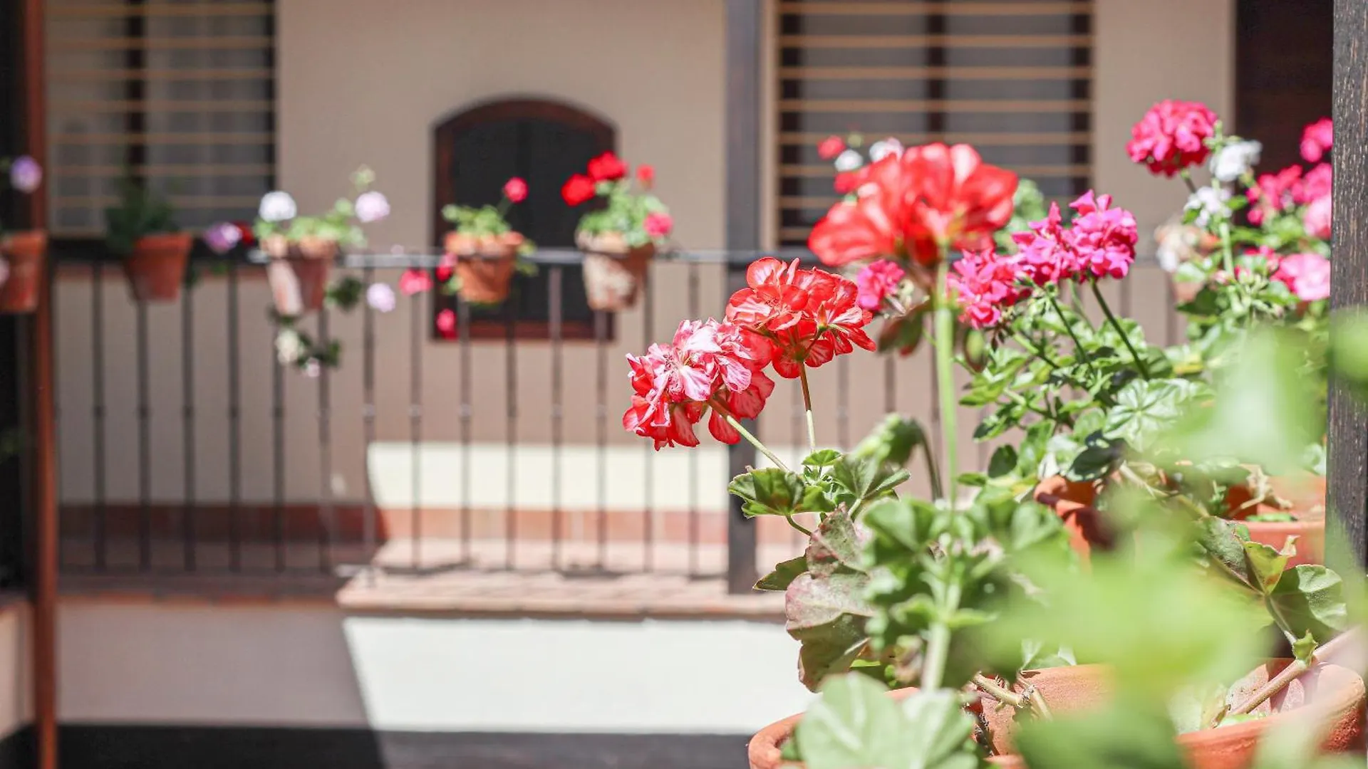 Charming Apt In The Center - 10M Walk Isla Magica Seville